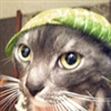 katgoezmeow's avatar