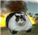 Assorted_Cheese's avatar