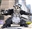 LordRayTheDragon's avatar