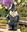 TheFrostyOne's avatar