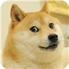 DogeWow's avatar