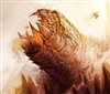 varum's avatar