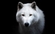 WhiteWolf7755's avatar