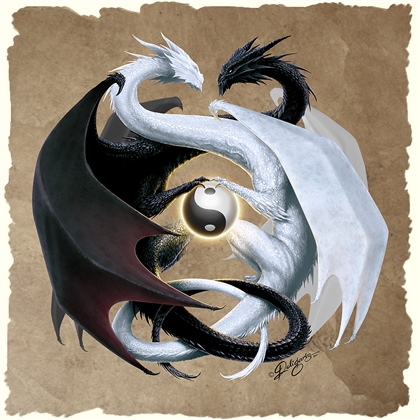 Duality Domain Image