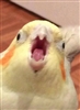NagaBlaze's avatar