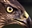 Phocks7's avatar