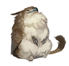 Aceheartman's avatar