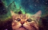 tenshiengrey's avatar