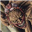 ahonata's avatar