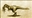 Cthulusaurus's avatar