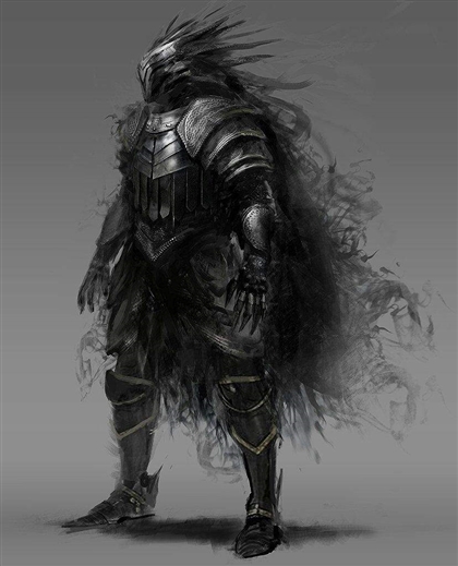 Shade Guard Image