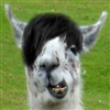 Polemoth's avatar