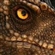 Flamen_Werfer's avatar