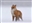 Riollan_Knightwing's avatar