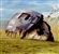 mj_pwnd's avatar