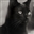 Huskabyte's avatar
