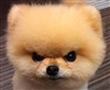 go1away123's avatar