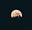 user-106990254's avatar