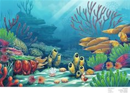 Circle Of Reefs Image