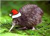 OliKiwi's avatar