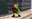 Link_Nerd's avatar