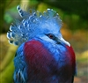 ZephyMcFluffy's avatar