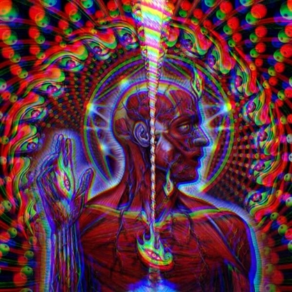 Way Of The Lateralus Image
