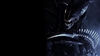 Yargith's avatar