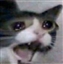 Lucan_the_Stormbringer's avatar
