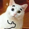 Dart93's avatar
