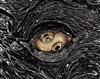 ELITExECHO's avatar