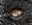 ELITExECHO's avatar