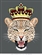 The_Jaguar_hunter's avatar