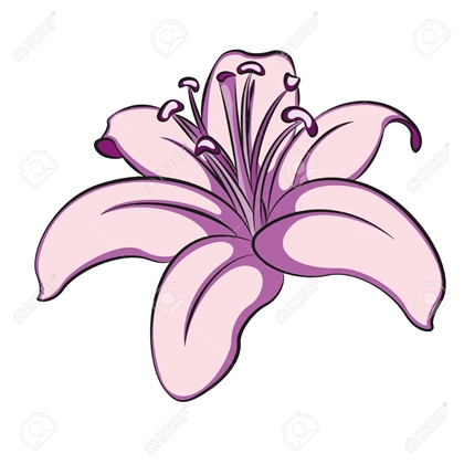 Way Of The Lily Field Image