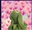 PraetorianLibrarian's avatar