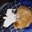 KittenMasterBen's avatar