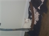 LordOfTheMemes's avatar