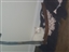 LordOfTheMemes's avatar