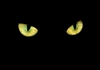 Talga_Vassternich's avatar