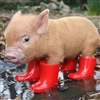 35_feral_hogs's avatar