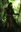 dndilove's avatar