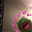maddaloon's avatar